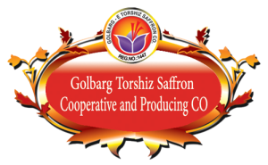 golbarg torshiz co.